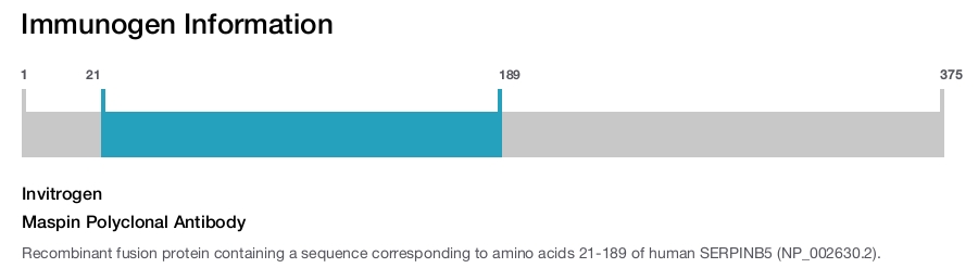 Maspin Polyclonal Antibody