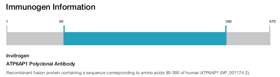 ATP6AP1 Polyclonal Antibody