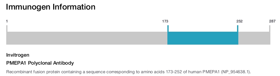 PMEPA1 Polyclonal Antibody