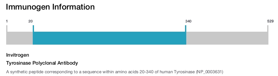 Tyrosinase Polyclonal Antibody