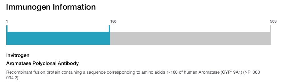 Aromatase Polyclonal Antibody