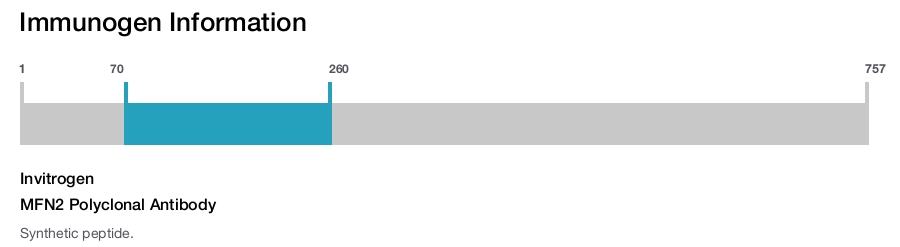 MFN2 Polyclonal Antibody