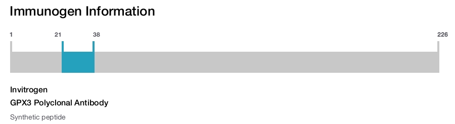 GPX3 Polyclonal Antibody