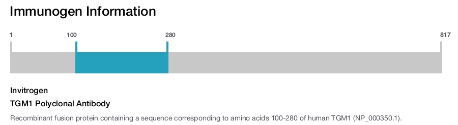 TGM1 Polyclonal Antibody