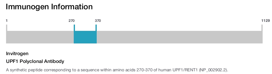 UPF1 Polyclonal Antibody