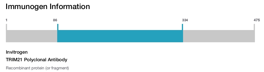 TRIM21 Polyclonal Antibody