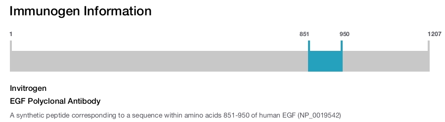 EGF Polyclonal Antibody