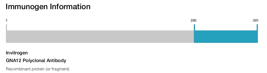 GNA12 Polyclonal Antibody
