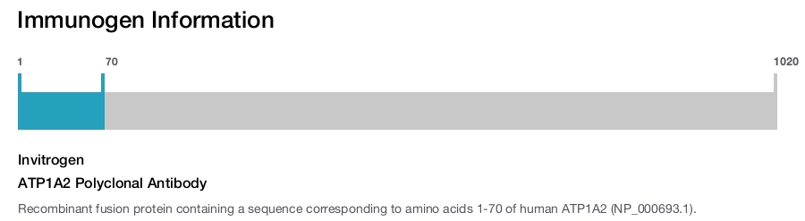 ATP1A2 Polyclonal Antibody
