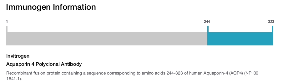 Aquaporin 4 Polyclonal Antibody