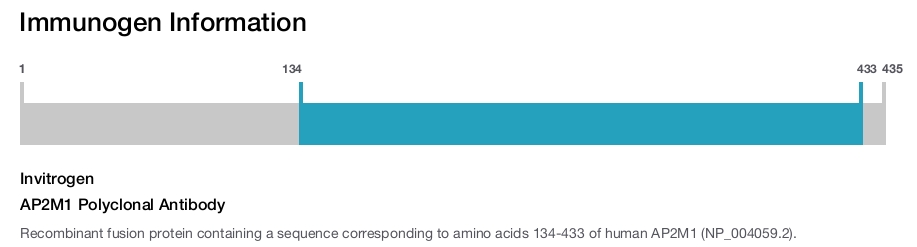 AP2M1 Polyclonal Antibody