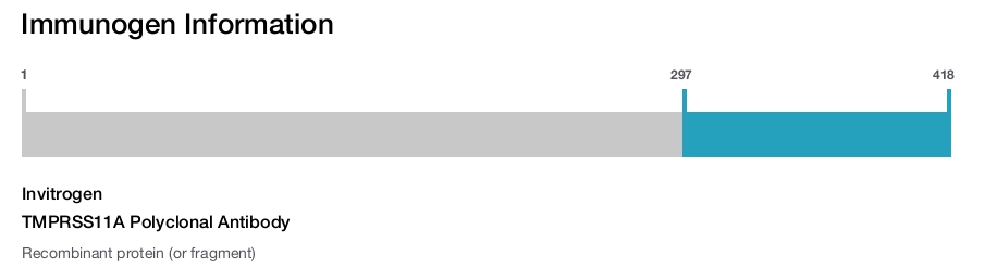 TMPRSS11A Polyclonal Antibody