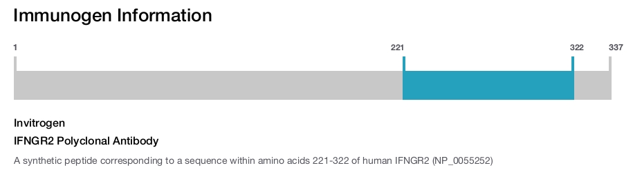 IFNGR2 Polyclonal Antibody