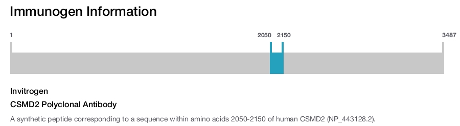 CSMD2 Polyclonal Antibody