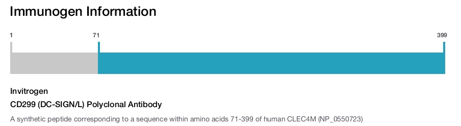 CD299 (DC-SIGN/L) Polyclonal Antibody