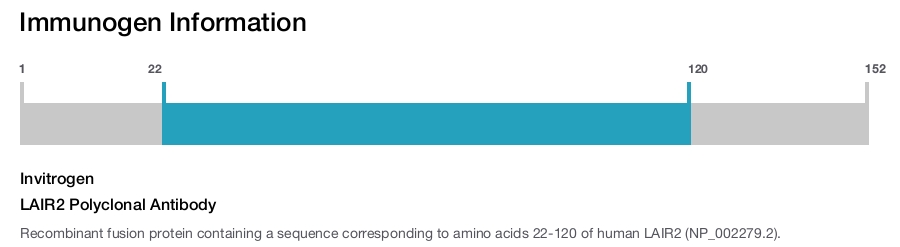 LAIR2 Polyclonal Antibody