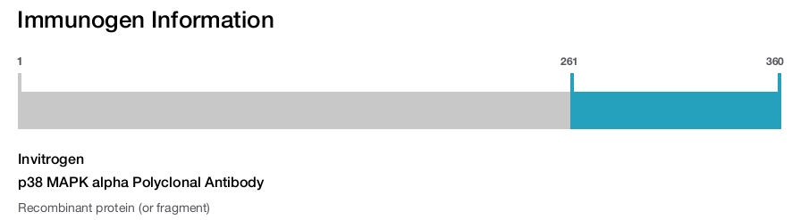 p38 MAPK alpha Polyclonal Antibody