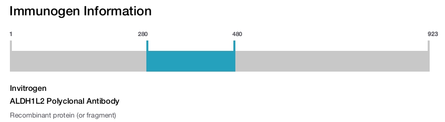 ALDH1L2 Polyclonal Antibody