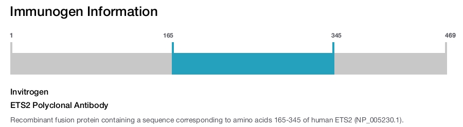 ETS2 Polyclonal Antibody