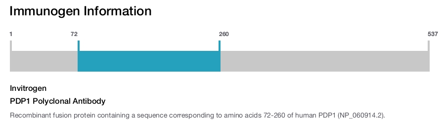 PDP1 Polyclonal Antibody