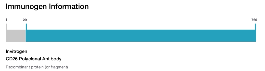 CD26 Polyclonal Antibody