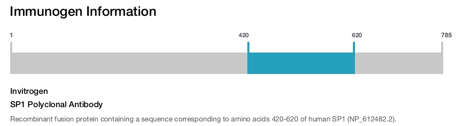 SP1 Polyclonal Antibody
