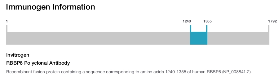 RBBP6 Polyclonal Antibody