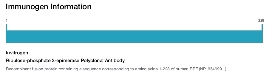 Ribulose-phosphate 3-epimerase Polyclonal Antibody