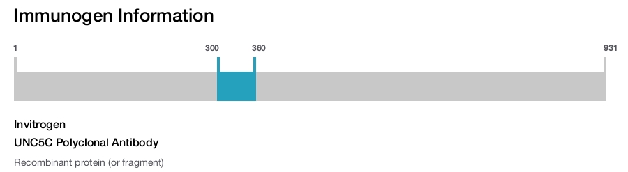 UNC5C Polyclonal Antibody