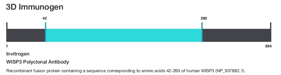 WISP3 Polyclonal Antibody