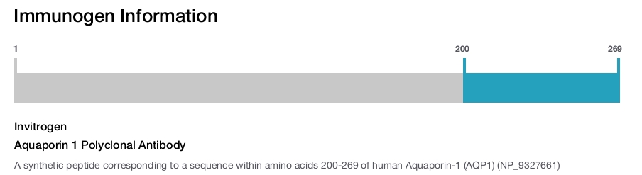 Aquaporin 1 Polyclonal Antibody