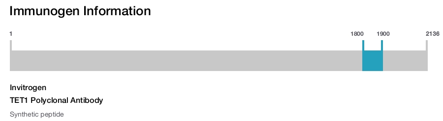 TET1 Polyclonal Antibody