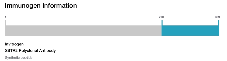 SSTR2 Polyclonal Antibody