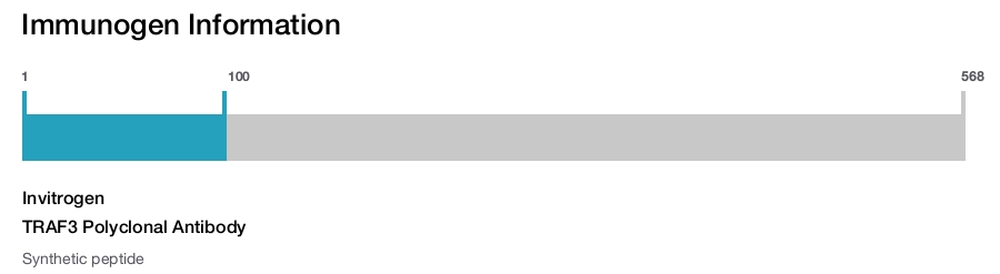 TRAF3 Polyclonal Antibody