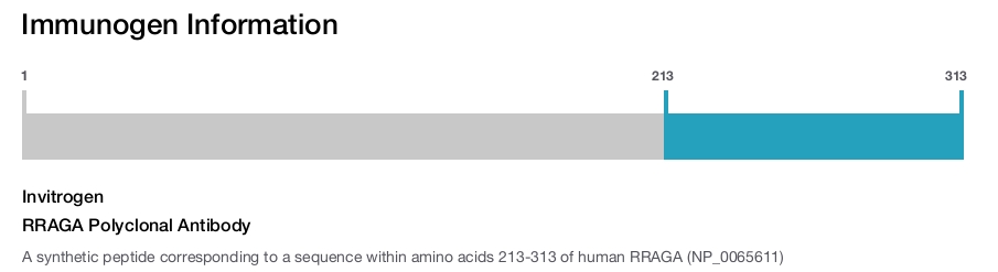 RRAGA Polyclonal Antibody