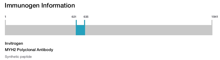 MYH2 Polyclonal Antibody