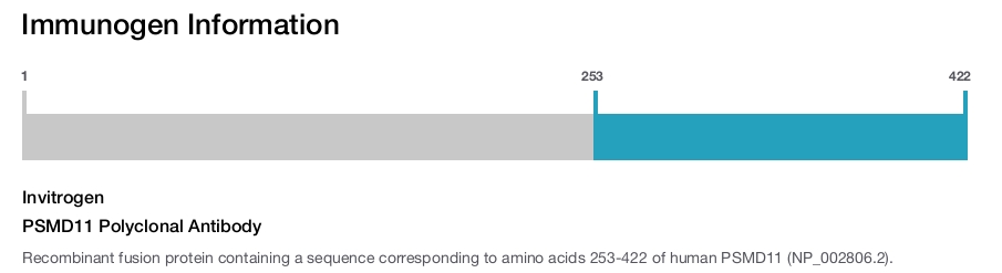 PSMD11 Polyclonal Antibody