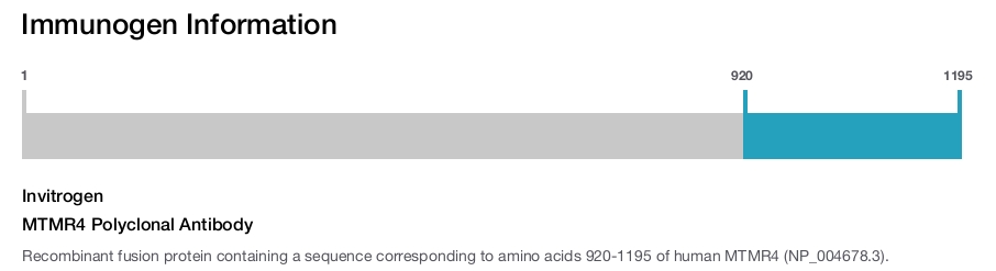 MTMR4 Polyclonal Antibody