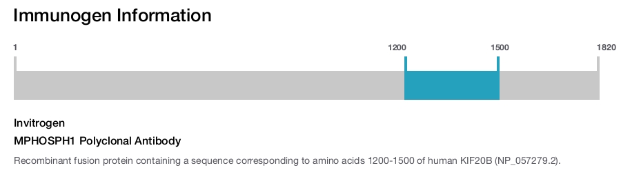 MPHOSPH1 Polyclonal Antibody