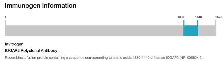 IQGAP2 Polyclonal Antibody