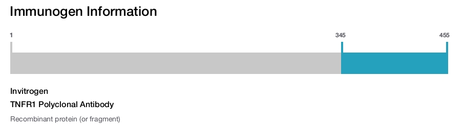 TNFR1 Polyclonal Antibody