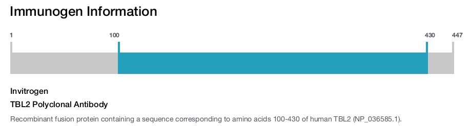 TBL2 Polyclonal Antibody