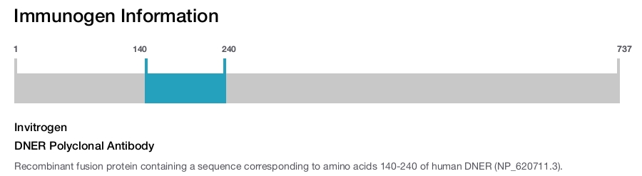 DNER Polyclonal Antibody