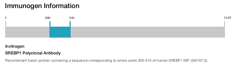 SREBP1 Polyclonal Antibody