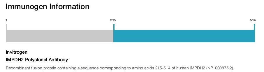 IMPDH2 Polyclonal Antibody