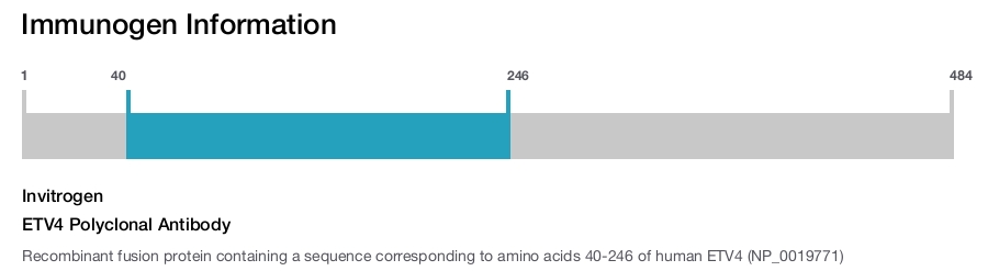 ETV4 Polyclonal Antibody