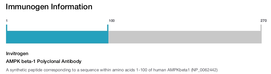 AMPK beta-1 Polyclonal Antibody