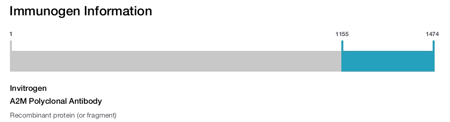 A2M Polyclonal Antibody