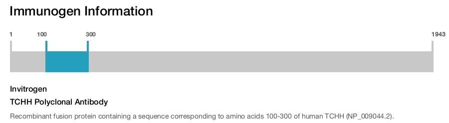 TCHH Polyclonal Antibody