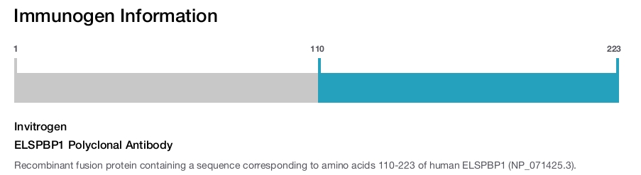 ELSPBP1 Polyclonal Antibody